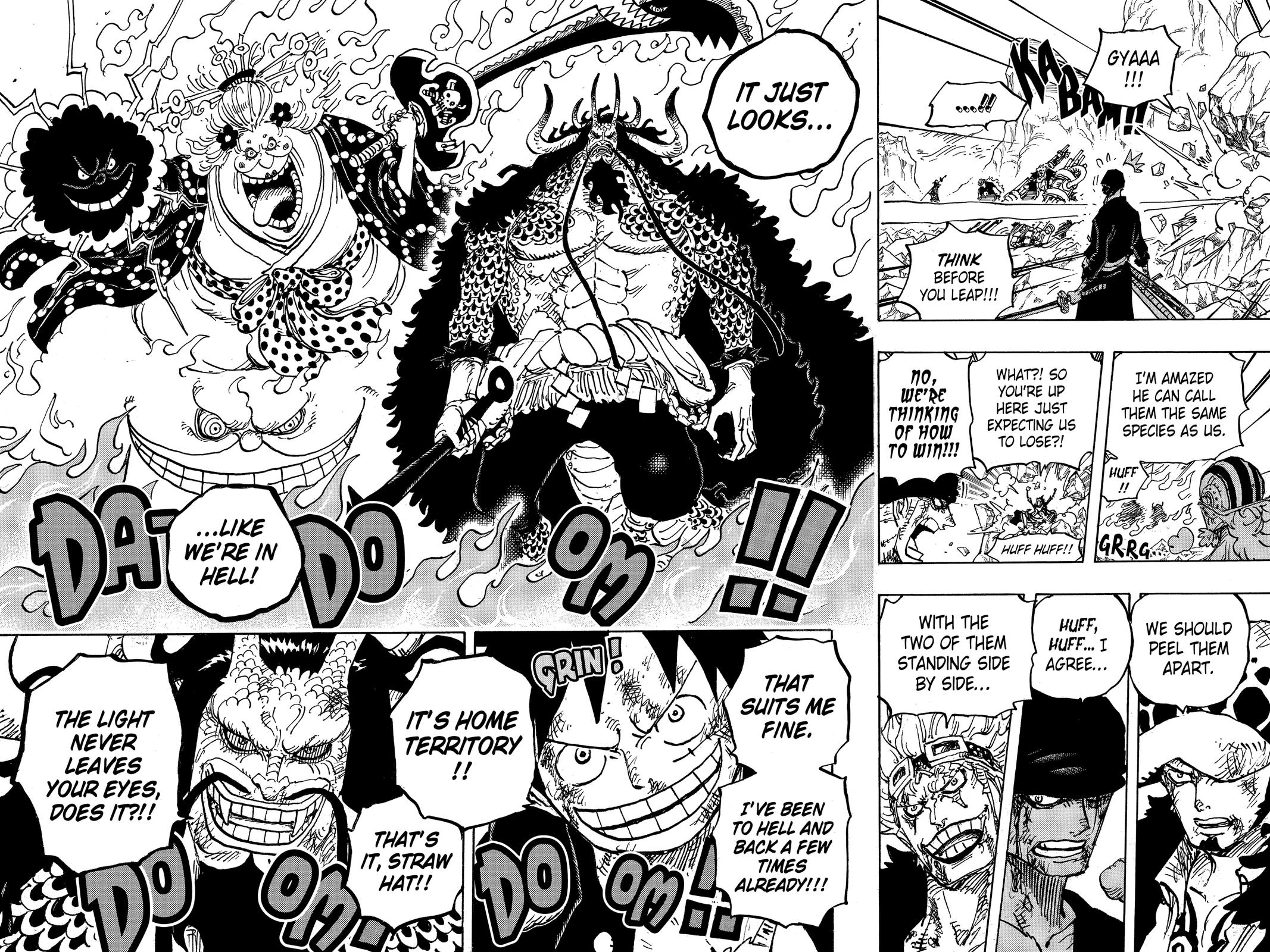 One Piece, Chapter 1008 image 16